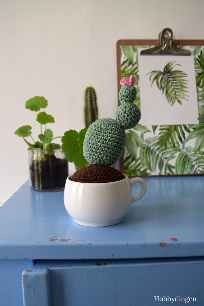 Happy Living! Crochet Cactus - Hobbydingen.com