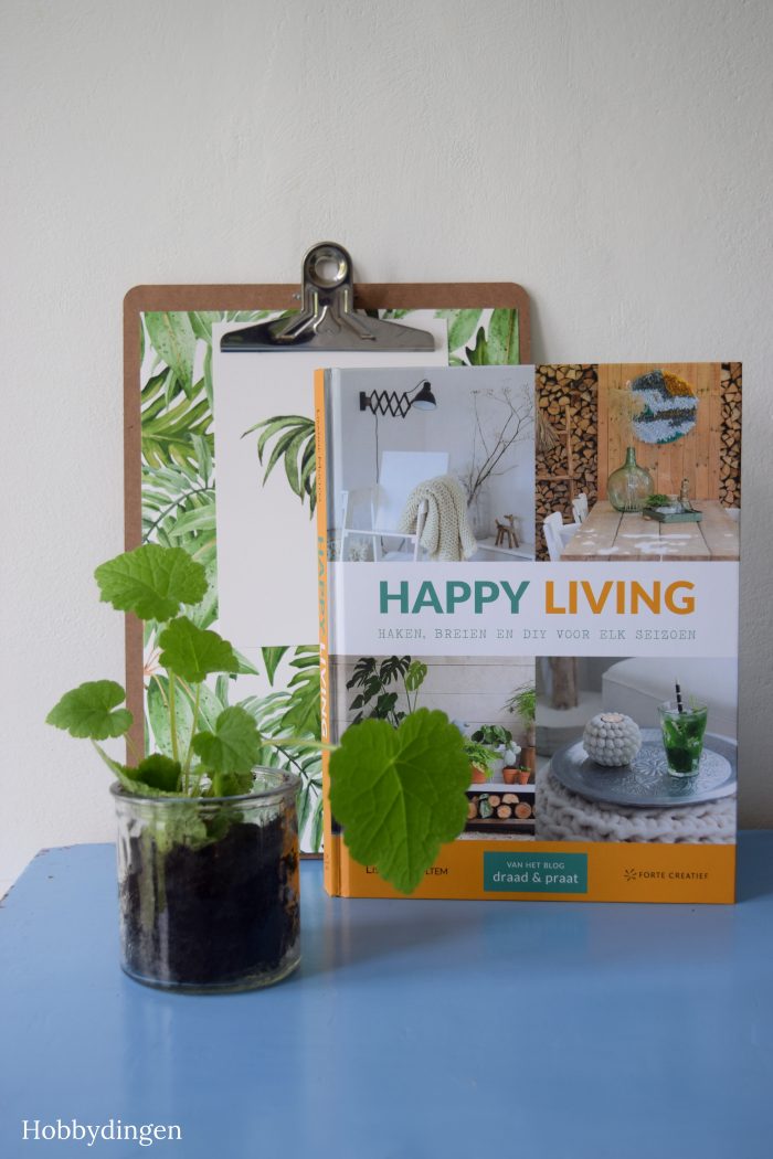 Happy Living! Crochet Cactus - Hobbydingen.com