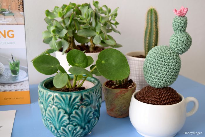 Happy Living! Crochet Cactus - Hobbydingen.com