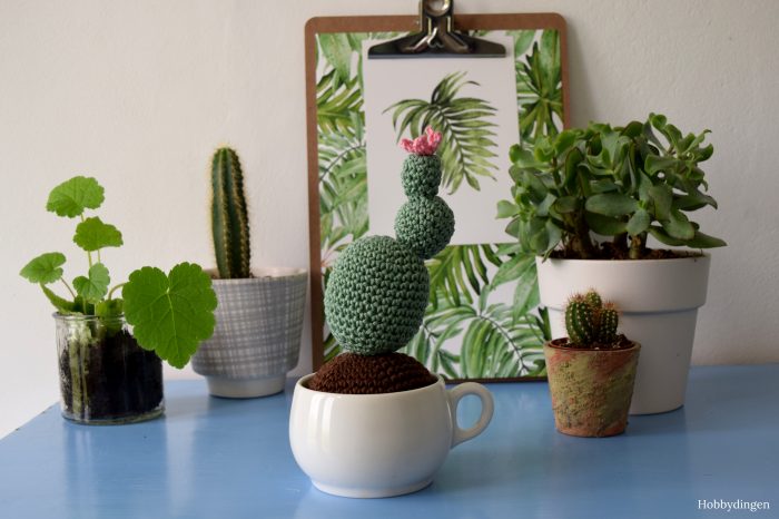 Happy Living! Crochet Cactus - Hobbydingen.com