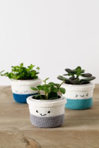 Haakpatroon Vrolijke Plantenpotjes Aan de Haak Amigurumi 4
